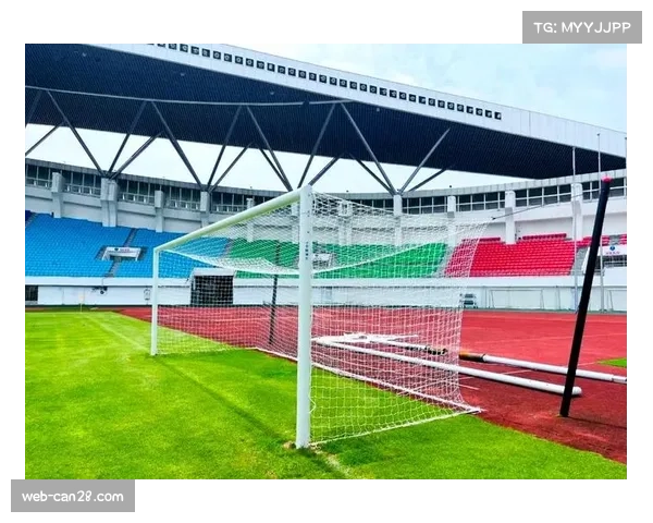 肇庆新区体育中心专业草坪获球队认可 肇庆新区体育中心专业草坪获球队认可