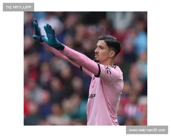 布伦特福德边锋沙德蹬踹对手，直红罚下